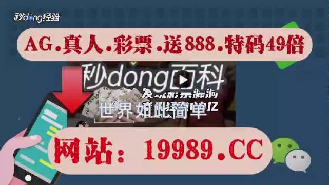 2024澳门天天开好彩大全免费,迅捷解答解释落实_P版64.077